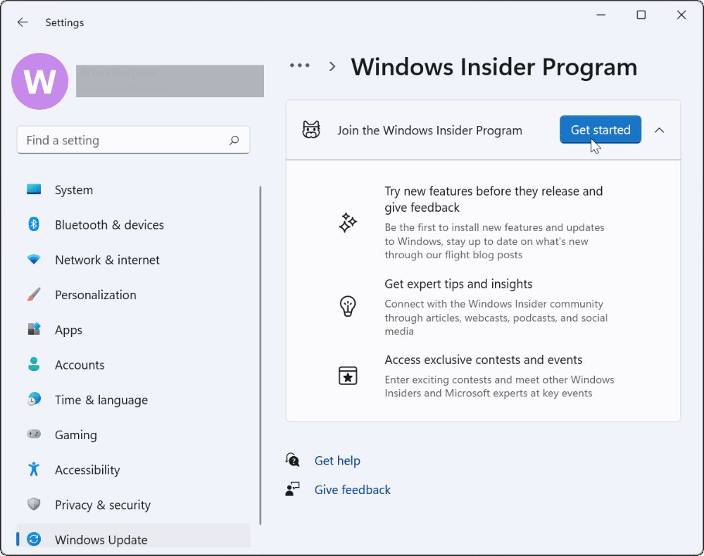 windows 11 insider program