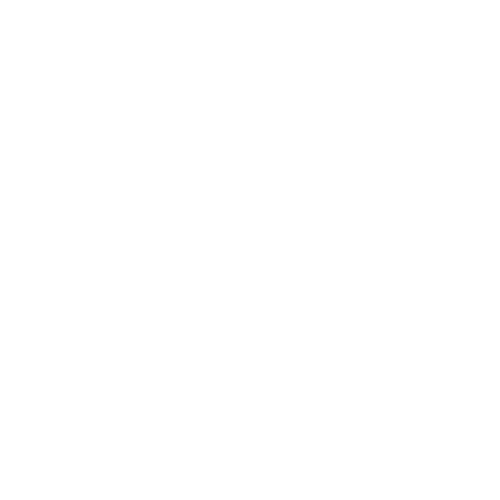 IT Consulting Services