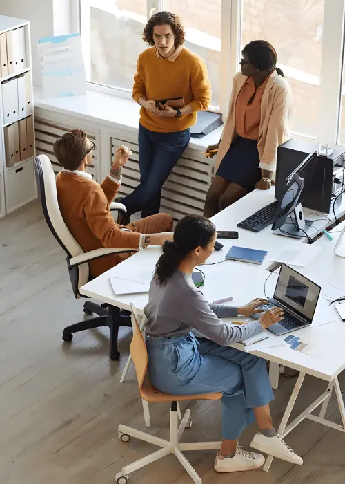 web developer team